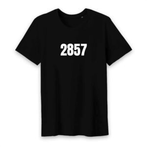 T-shirt Homme Col rond 100% Coton BIO 2857