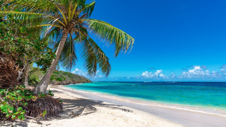 La Guadeloupe plage tropicale- maroons.black