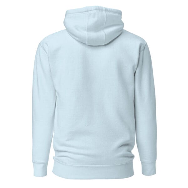 unisex premium hoodie sky blue back 6647c38d22acd