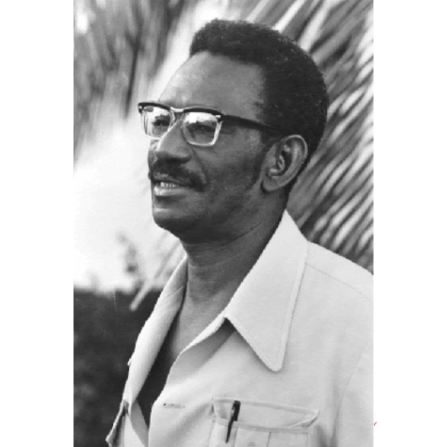 Cheikh Anta Diop maroons.black